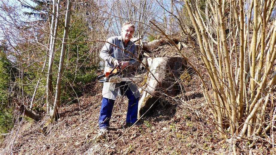 Rudi bekäpft den Sträucherwildwuchs
