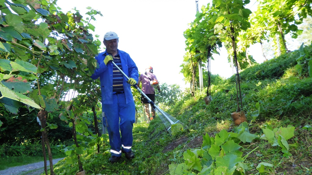 Hans beim Saubermachen