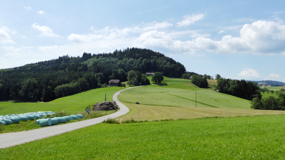 Hochkuchlberg - Gemeinde Lohnsburg