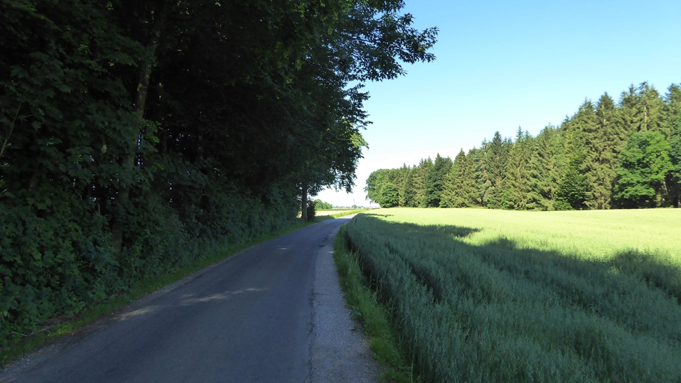 Auf dem Güterweg in Richtung Neukirchen an der Enknach