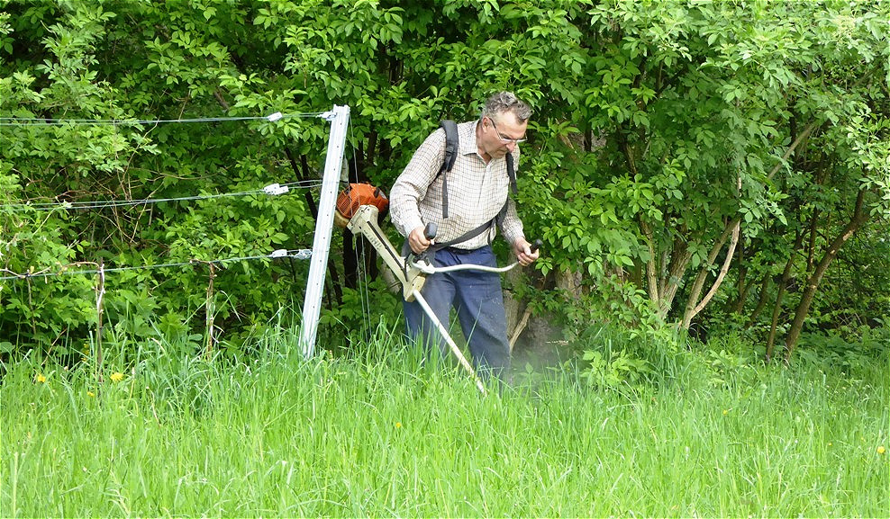 Weg bahnen durchs hohe Gras !