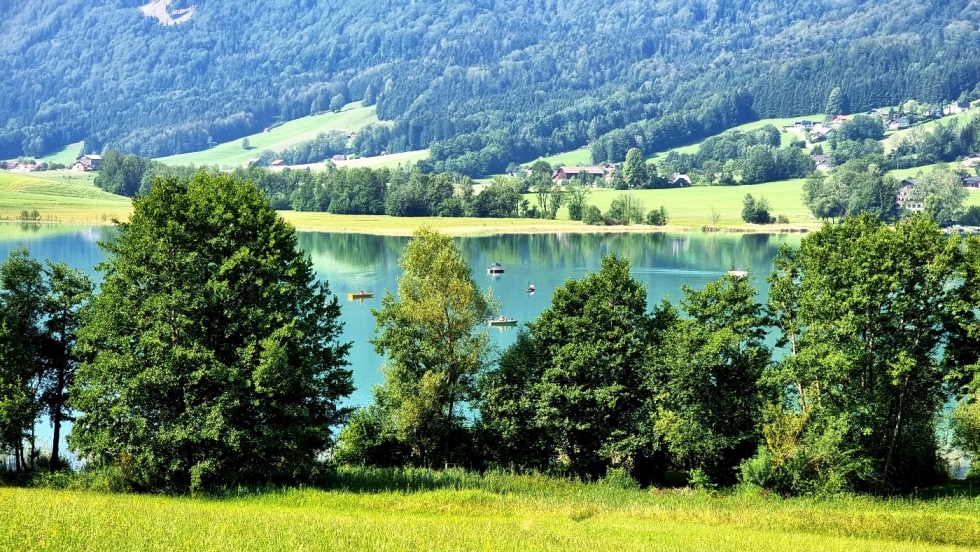 Seeblick - Zell am Moos