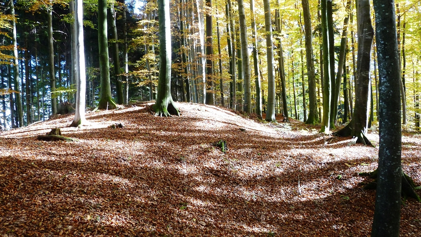 Keltisches Hügelgrab