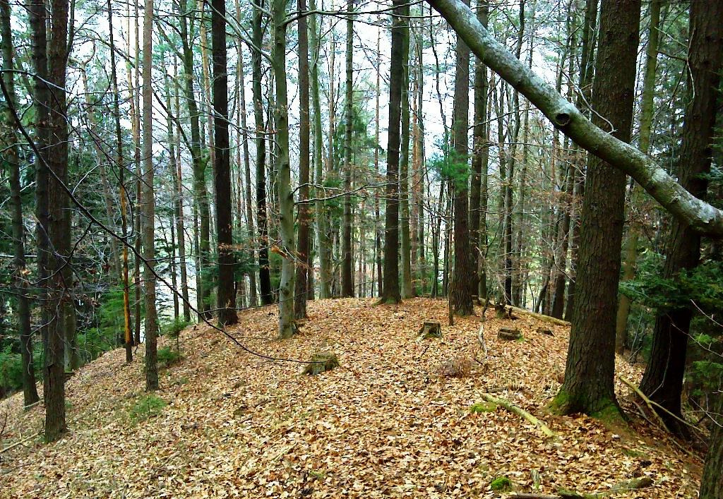 Bergrücken entlang des Hohlweges