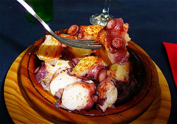 Mahlzeit - die Saugnäpfe sehen ja wirklich lecker aus !