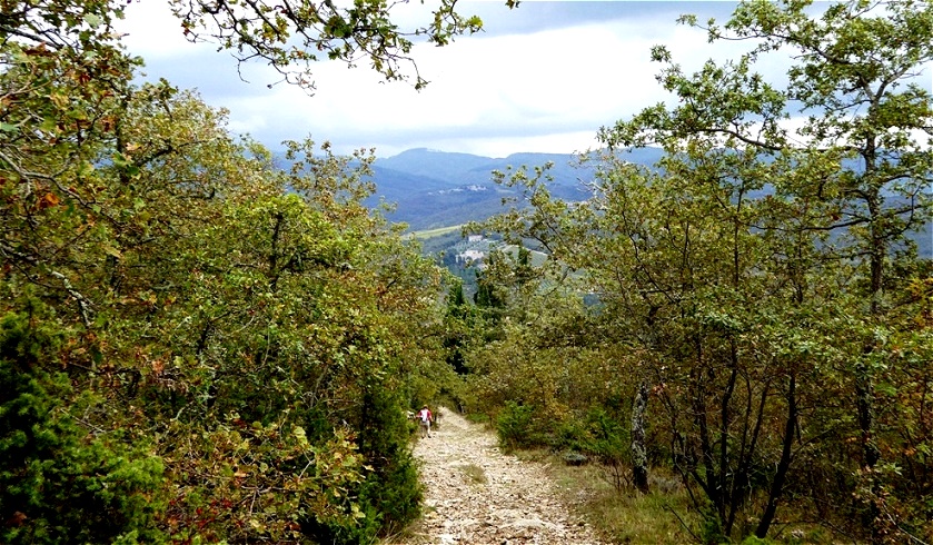 Wandern auf einsamen Wegen !