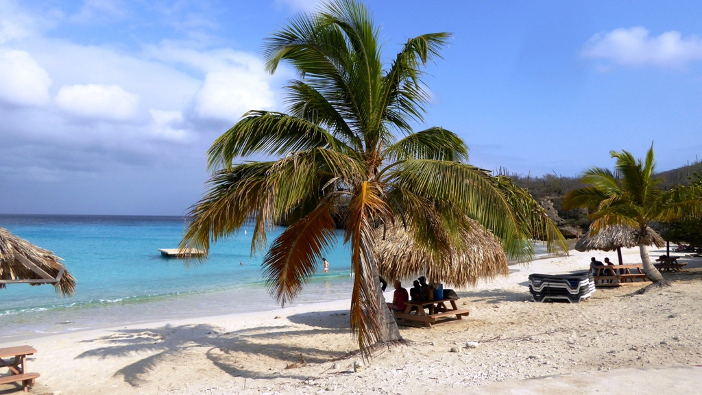 Herrlicher Palmenstrand !