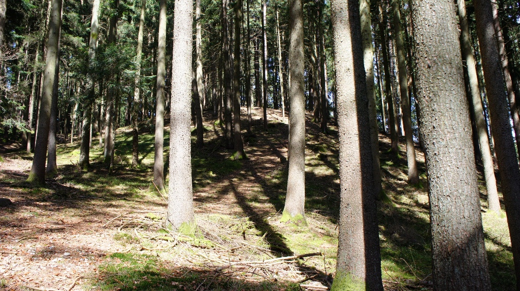 Ebenmäßige Form