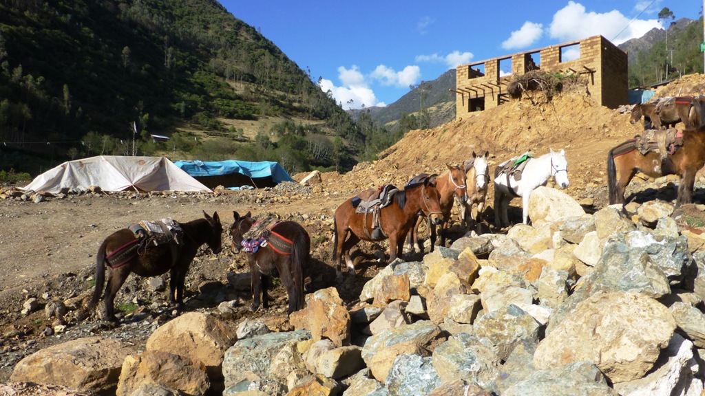 Die Maultiere warten beladen zu werden