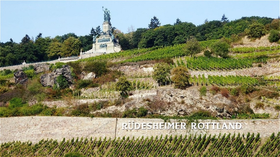 Berg Rottland (34,7 ha) - der Name bedeutet „gerodetes Land“ - hier gedeihen Weine hoher Prädikate wie Auslesen und Beerenauslesen