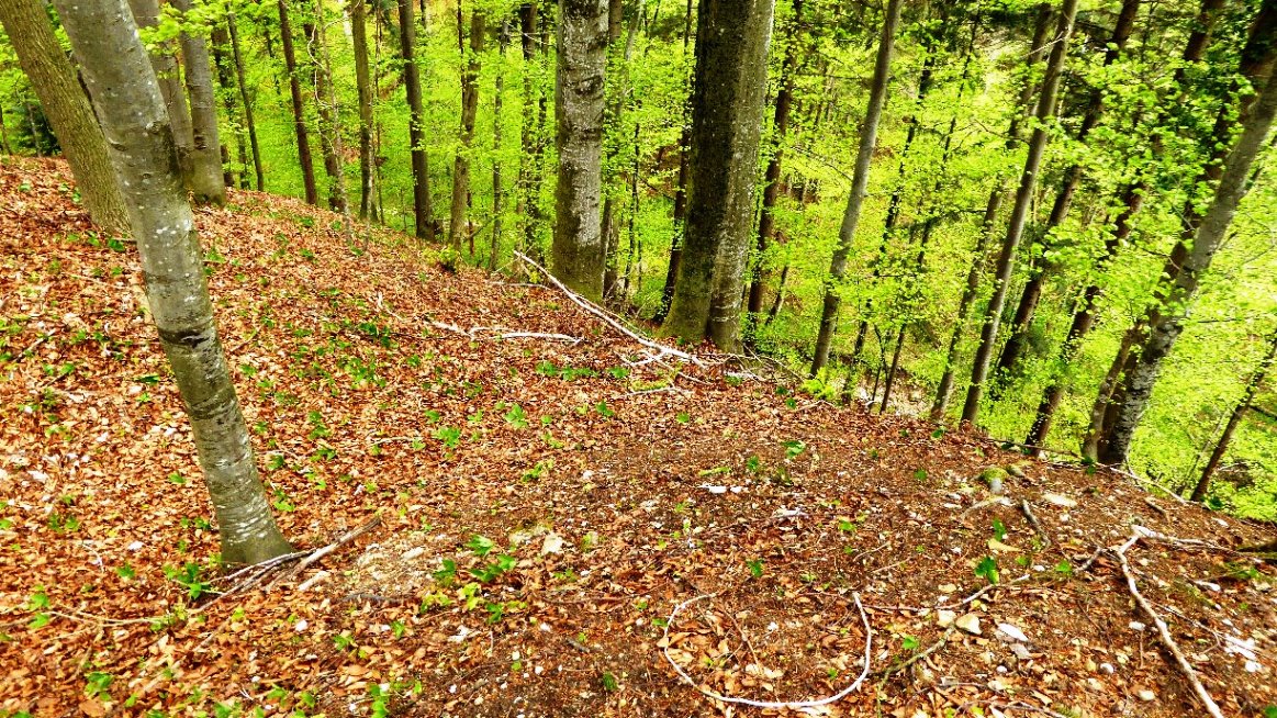 ...und enden in einer steilen Geländekante