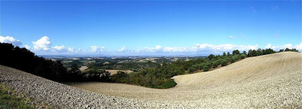 Die Felder sind bestellt