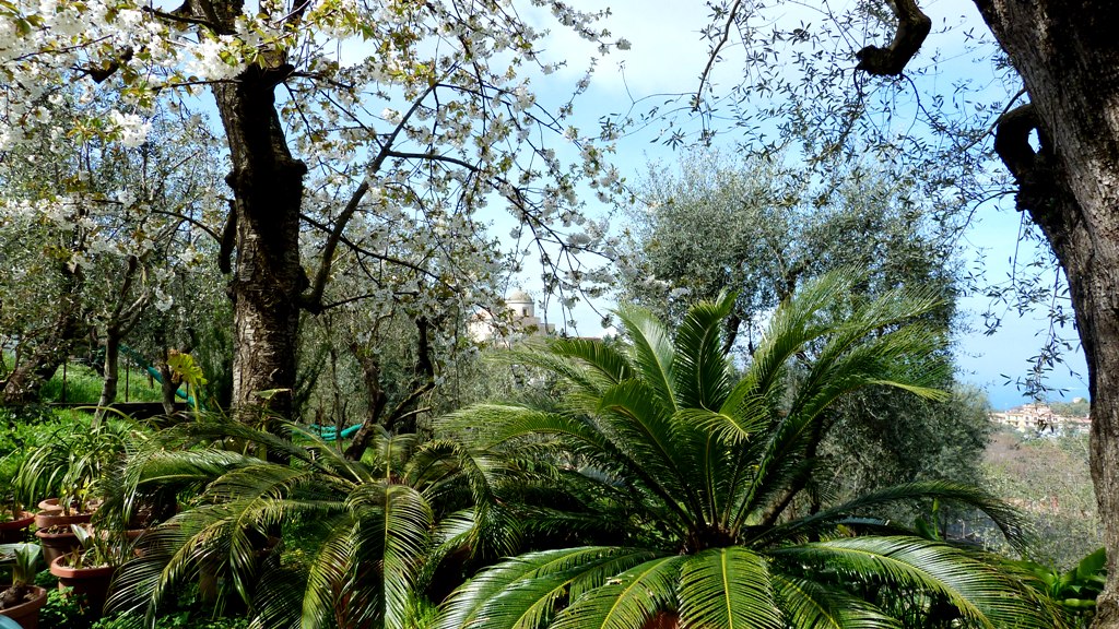 Im Garten der Azienda