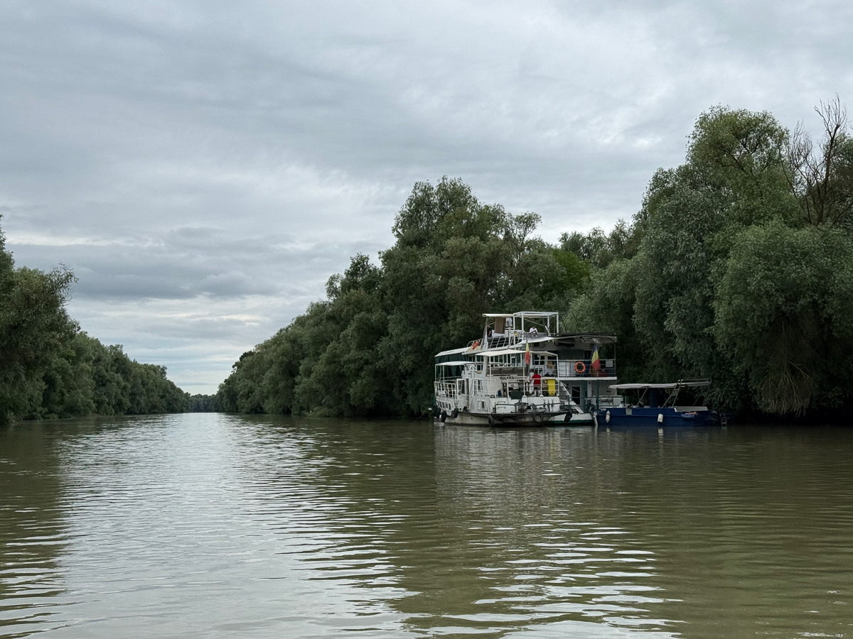 https://0501.nccdn.net/4_2/000/000/056/7dc/donaudeltaweb-38.jpg