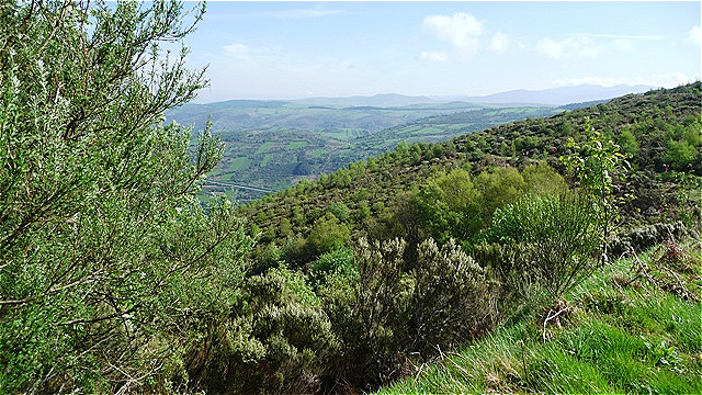 Auf dem Weg zur Höhe des Hl. Rochus