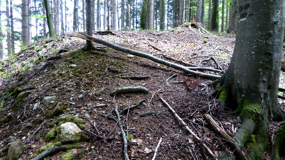 Geöffneter Grabhügel