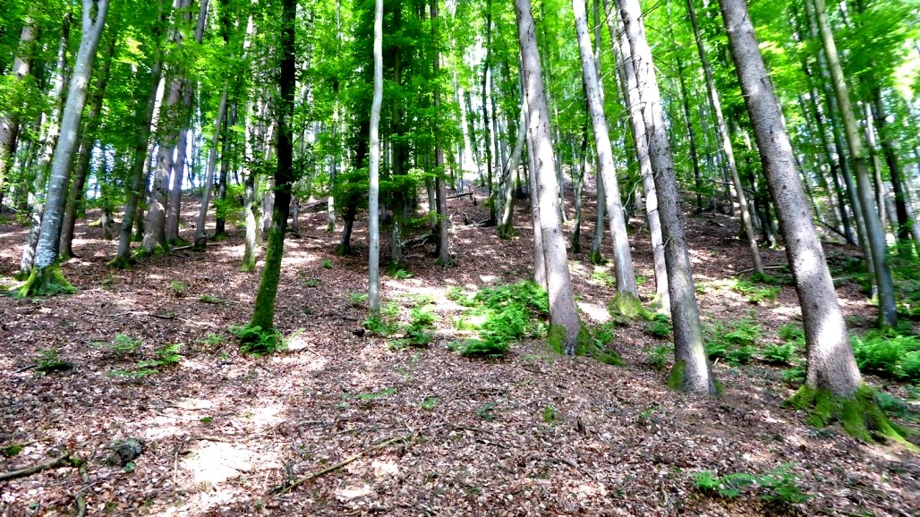 Im Aufstieg - Blick von unten auf den Steilabfall im Süden