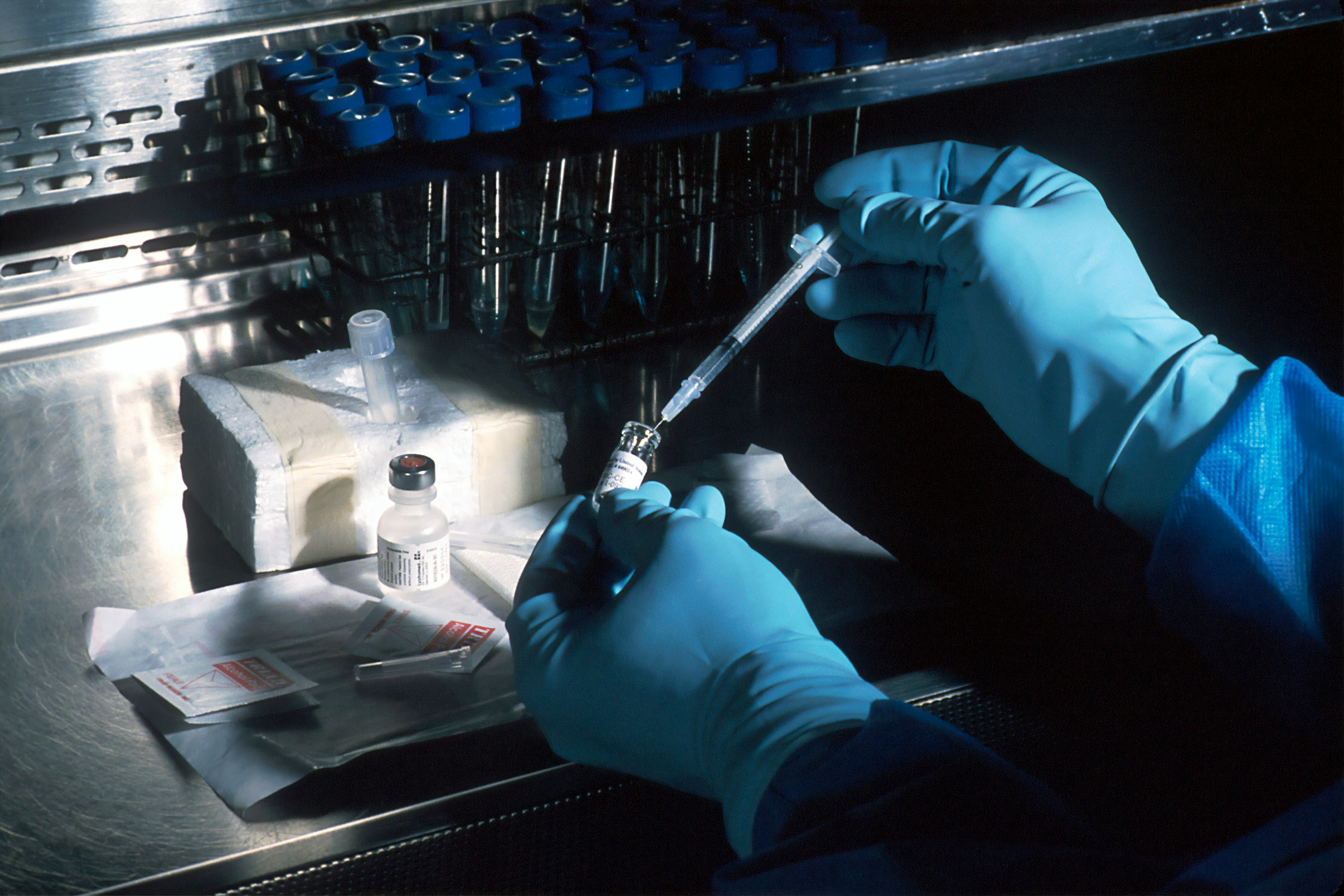 Responsive diagnostic laboratory website design displayed on desktop, tablet and smartphone screens