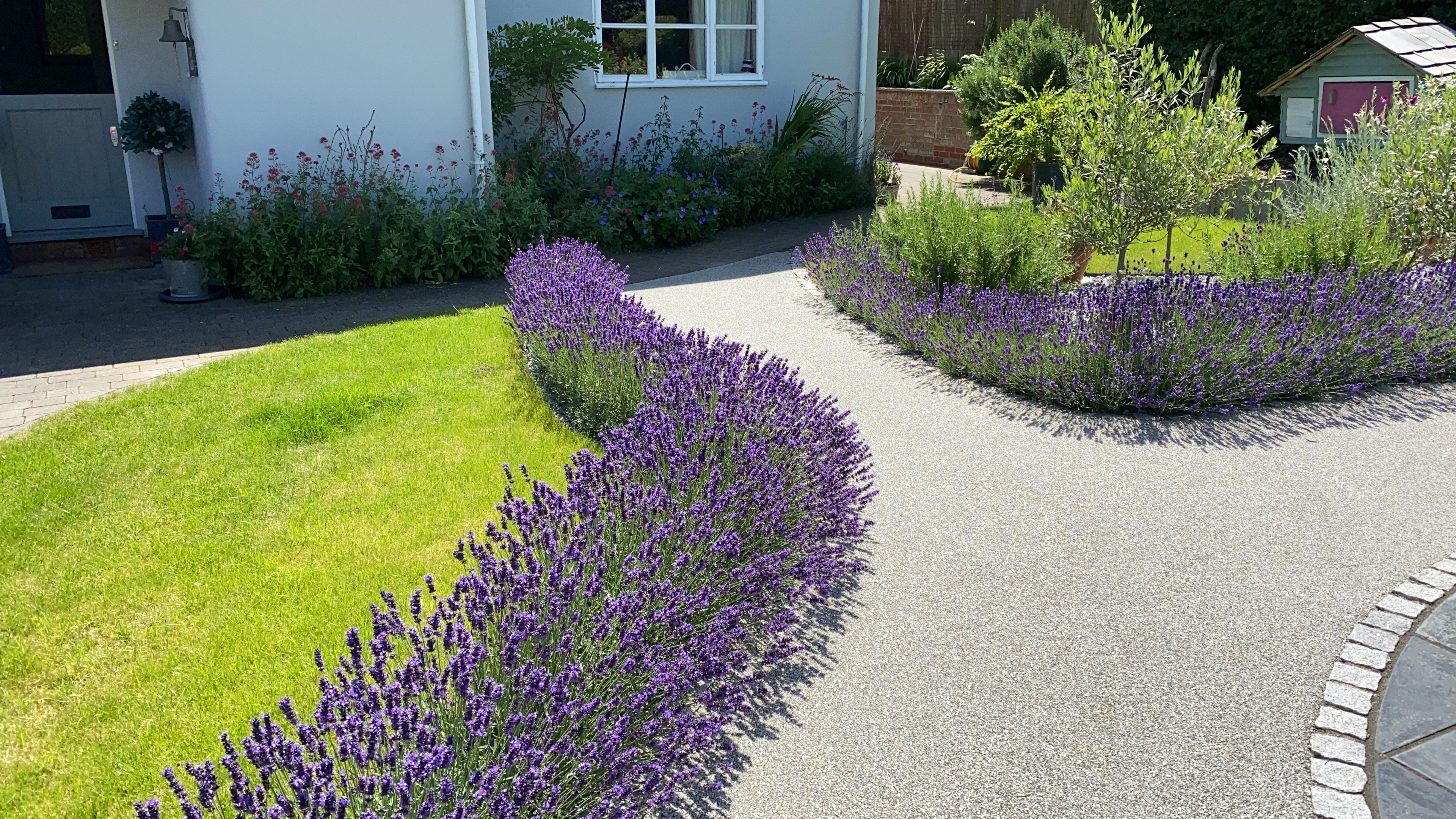 Planting Design 2019