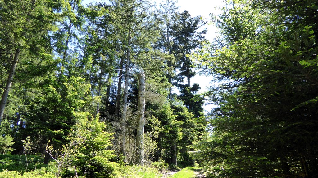 Hinauf auf den Bergrücken