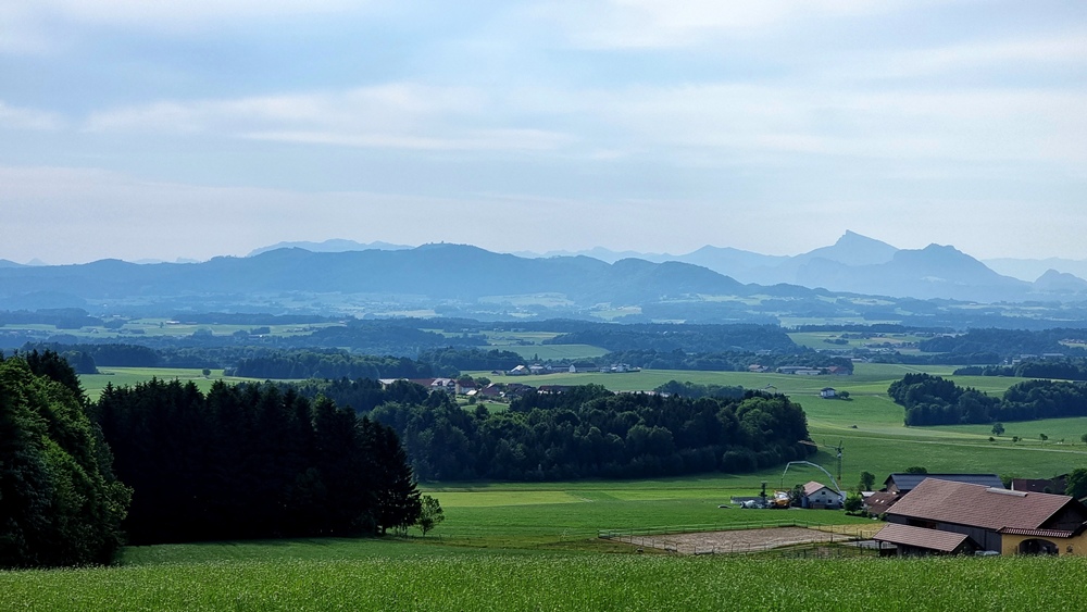 20. Juni 2023 - Kaiserbuche