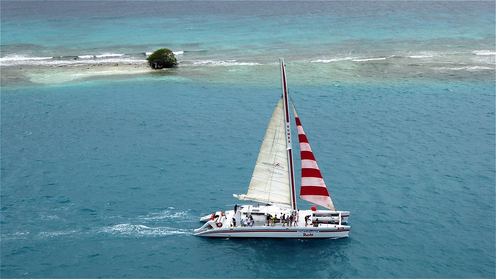 Ein Katamaran kreuzt entlang des Korallenriffs