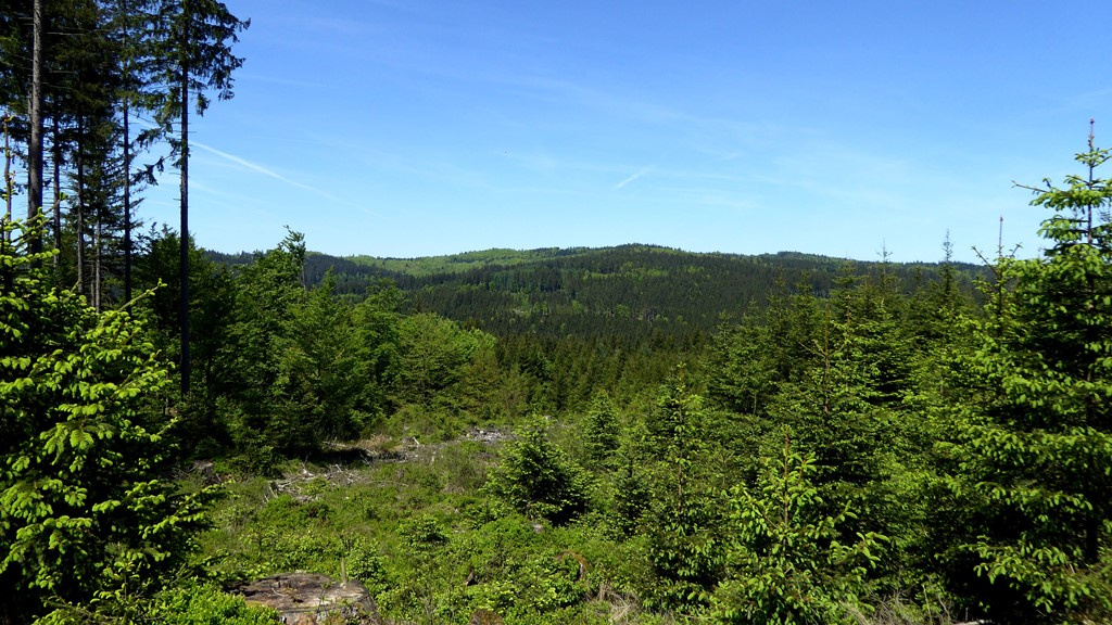 Endloser Kobernaußerwald !