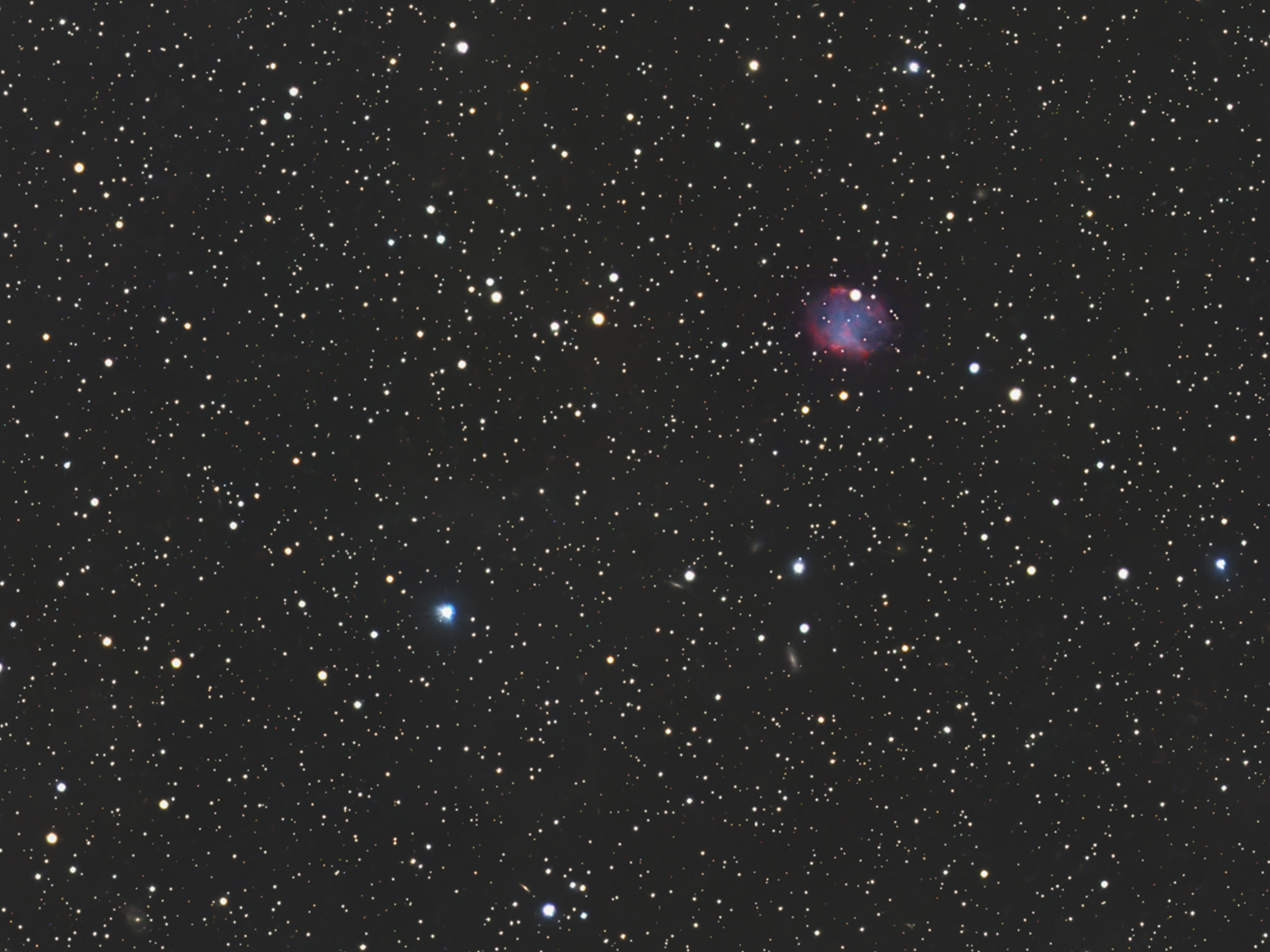 Abell 84 (PK 112-10.1) Cassiopeia.
Nikon D7500a, Nikon 600mm f/4 and
1.4 TC (840mm) at f/5.6., 5.7 hrs. (5' subframes) at
ISO 800, 1st - 3rd of March 2025