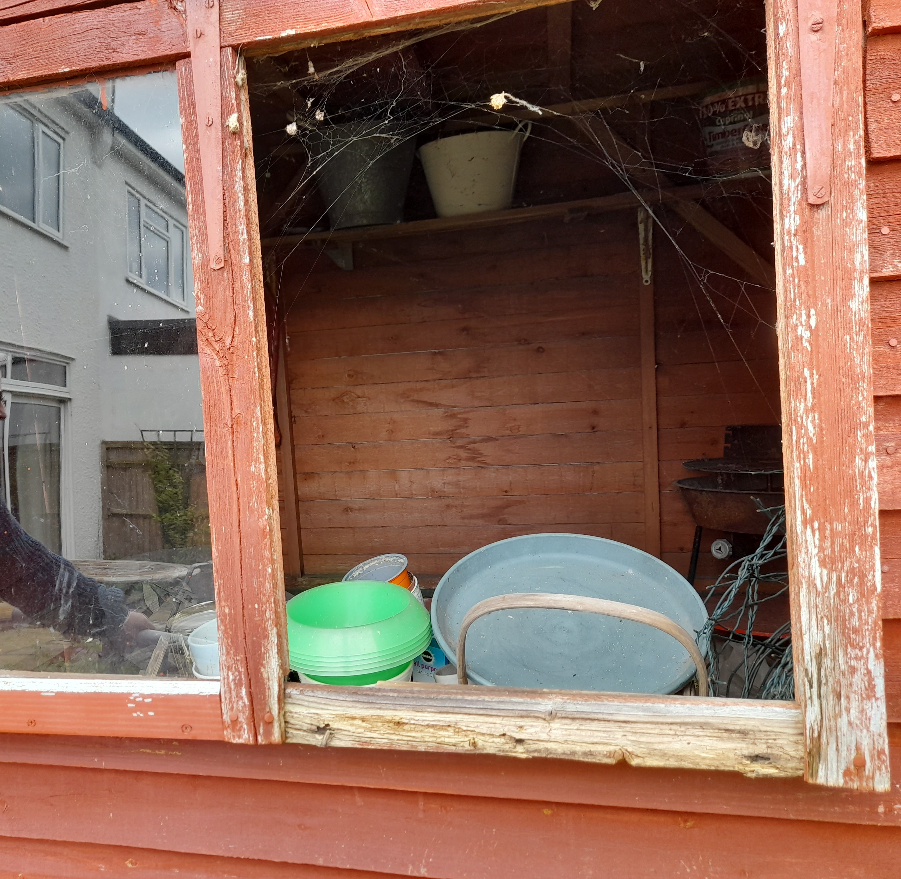 Old shed window