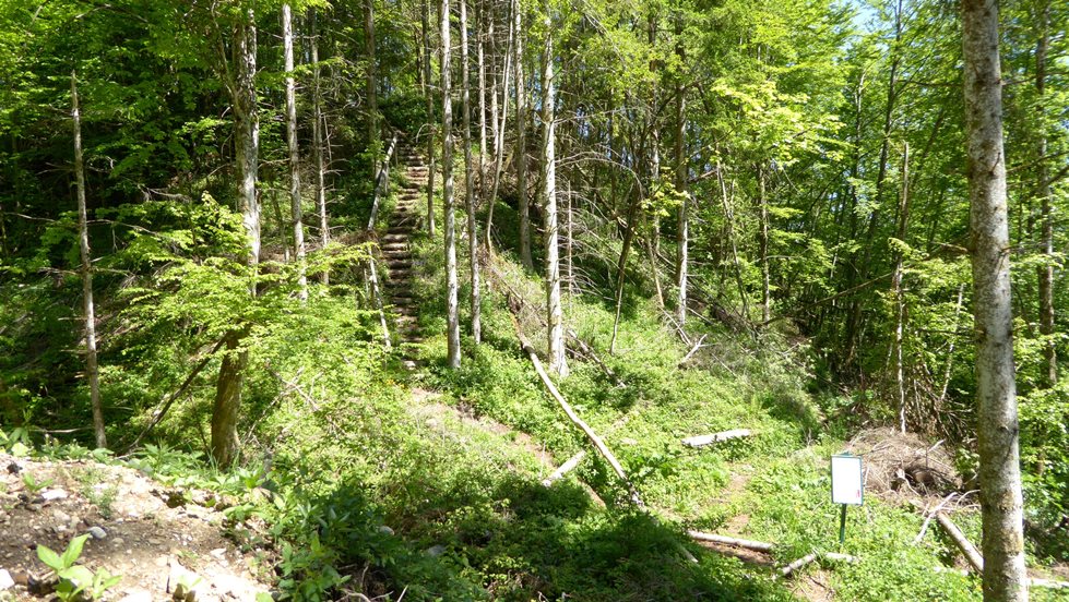 Eine Treppe führt hinauf zu den letzten Mauerresten