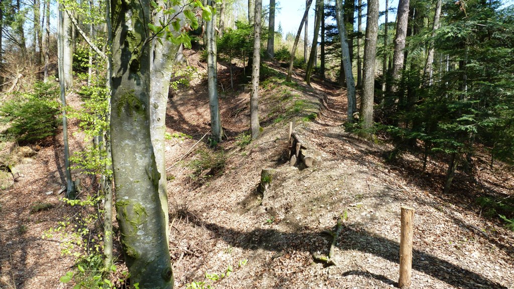 Der Aufstieg beginnt hinter dem ehemaligen Gasthaus "Bräu am Stein"