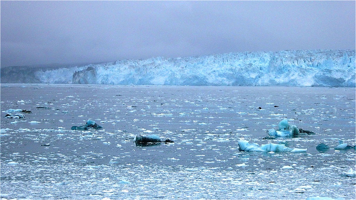 Eine mächtige Mauer aus Eis !
