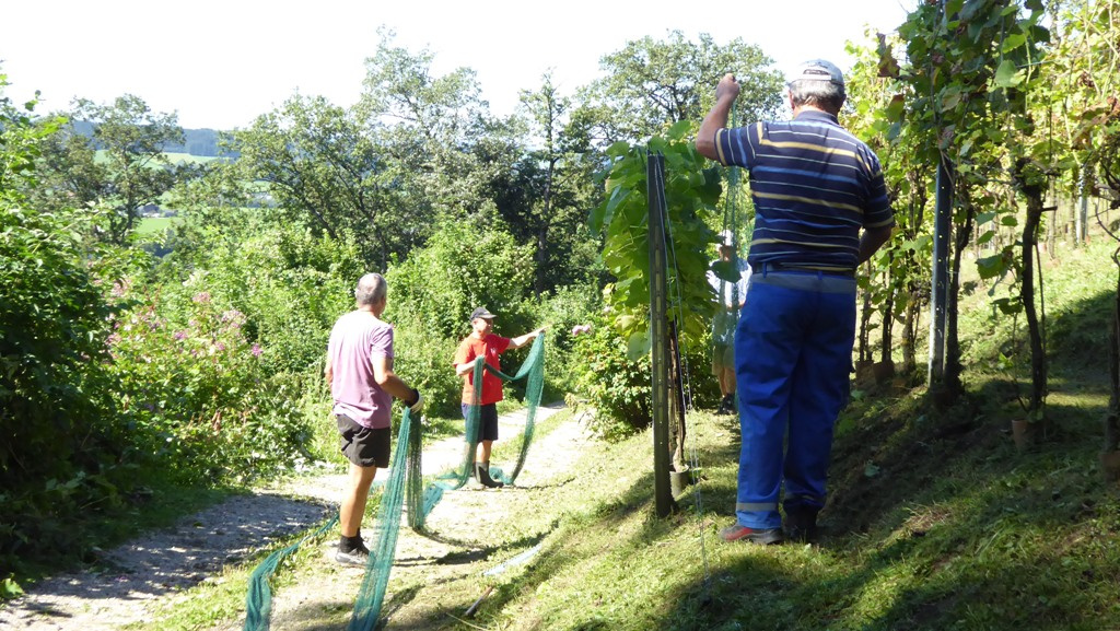 Die Netze werden ausgelegt !