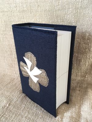 Couverture de Bible moderne