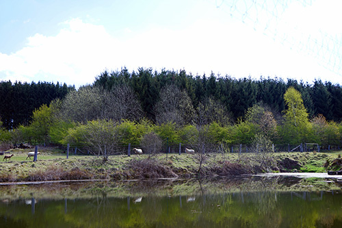 https://0501.nccdn.net/4_2/000/000/05a/a3f/etangs_sainte_fontaine05-500x333.jpg