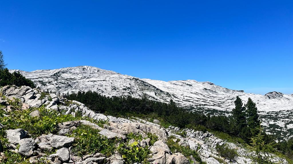 Auf dem Karstplateau