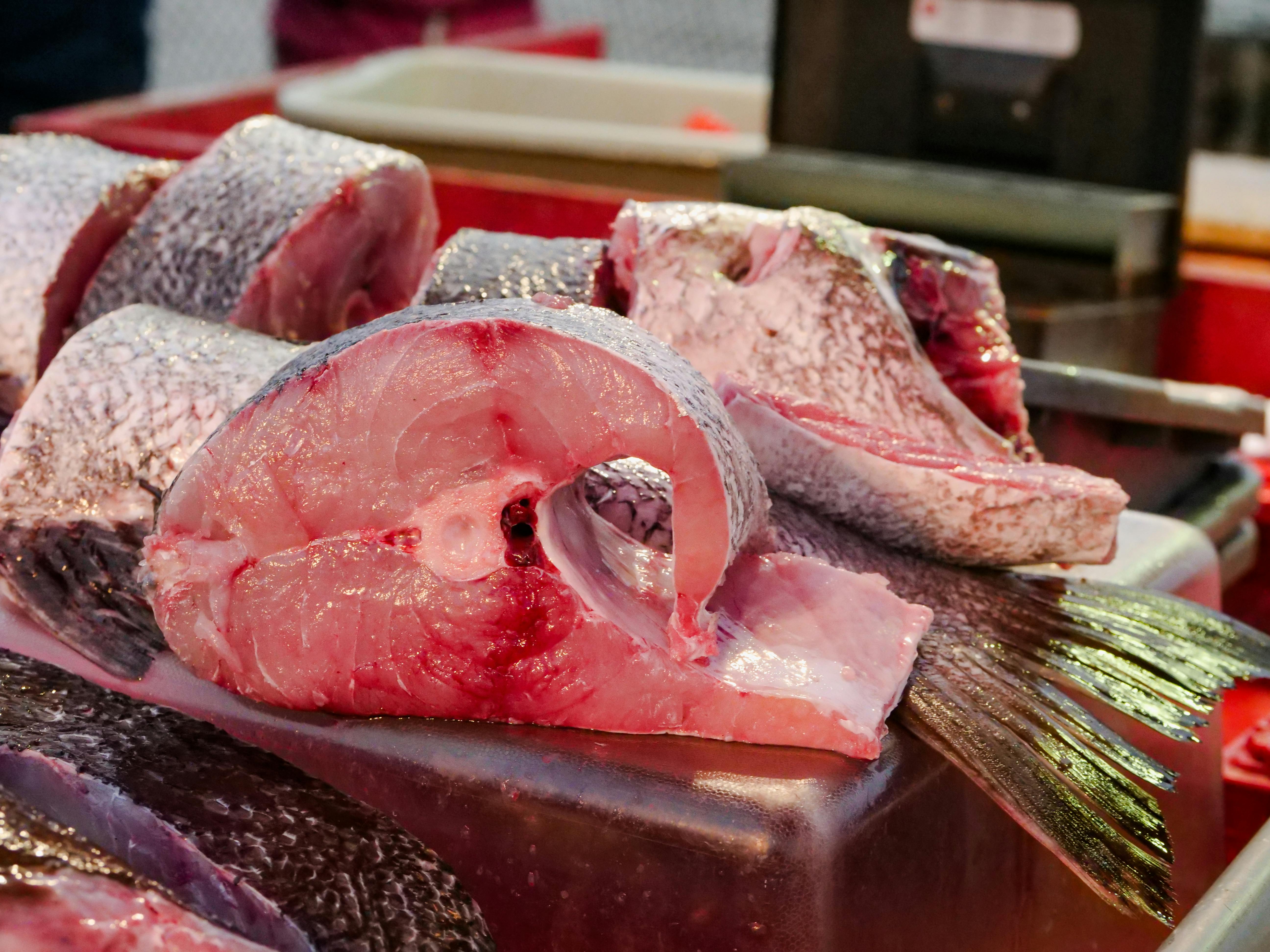 Fresh salmon fillets garnished with parsley, surrounded by cherry tomatoes and lemon slices on a gray plate.