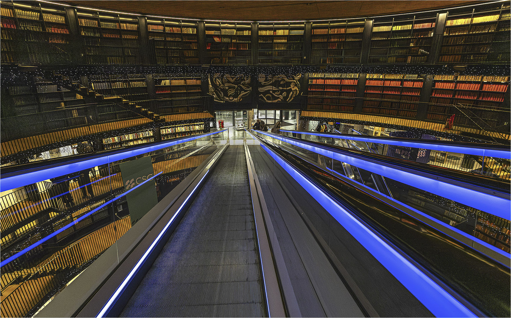 Commended: The Library (Roger Paxton)