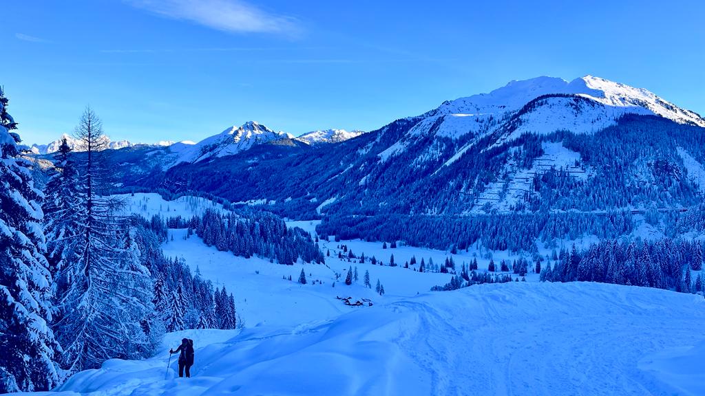17. Dezember 2023 - Südwiener Hütte mit Scheibenkogel