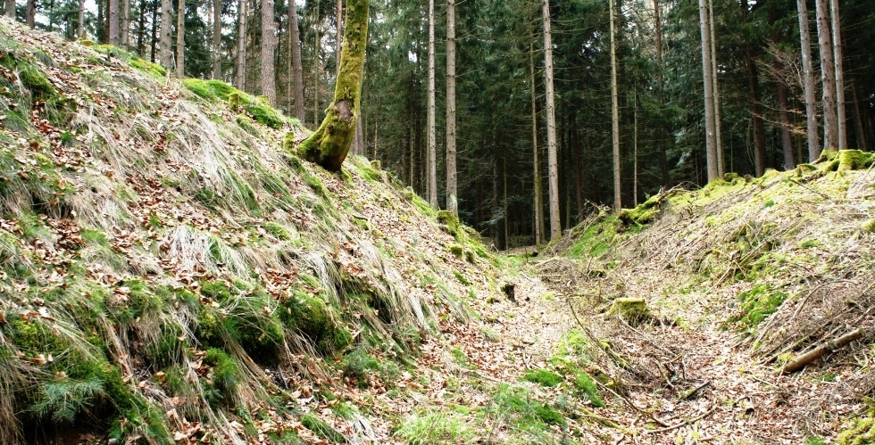 Der Graben - Blickrichtung Westen