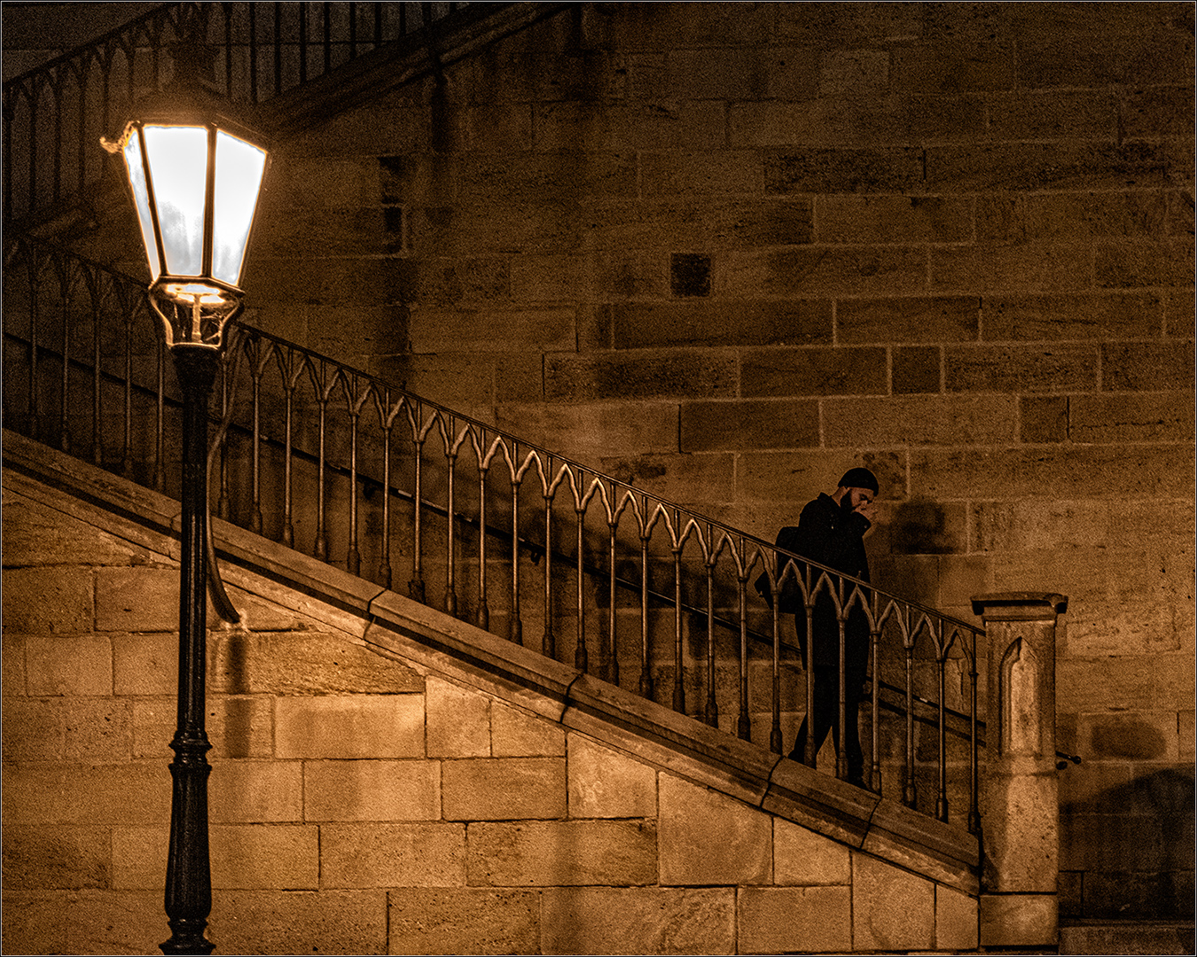 Commended: Nightime Walker (Janet Griffiths)