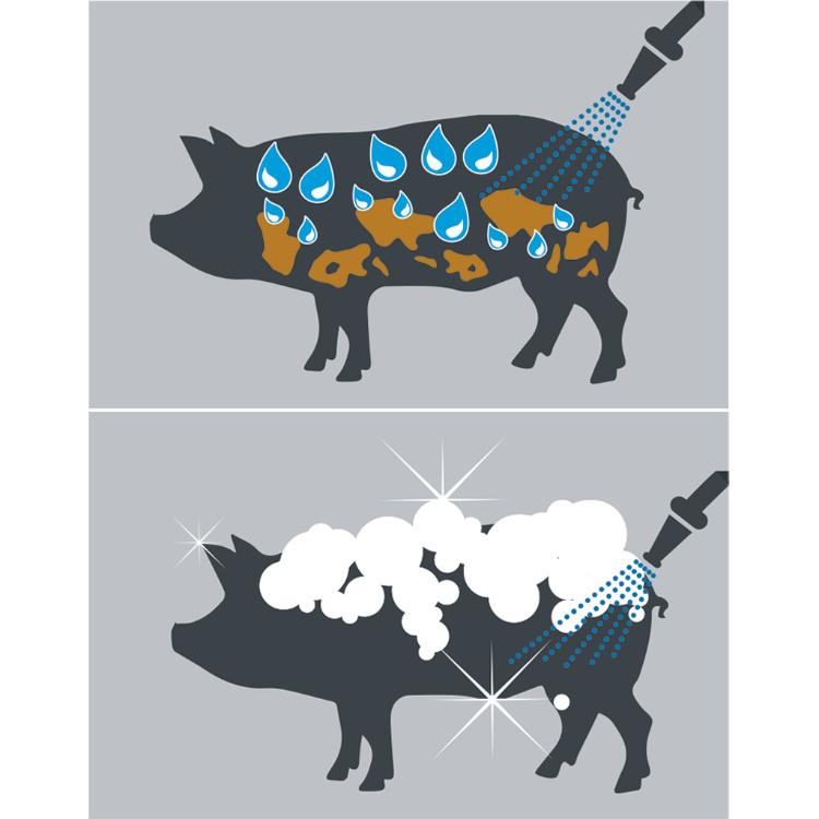 https://0501.nccdn.net/4_2/000/000/05c/c64/porc-spalat.jpg
