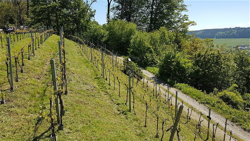 Grasmahd - 17. Mai 2019