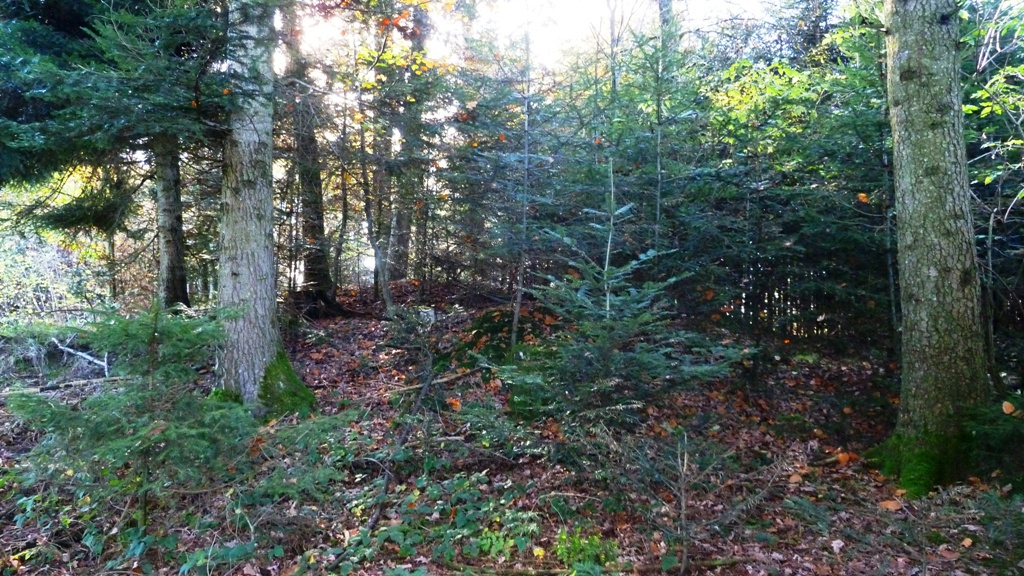 Hügelgrab - Ansicht Nordseite