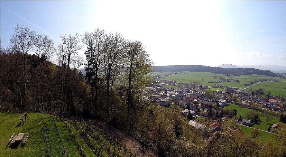 11. Juni - Pflege des Weingartens 