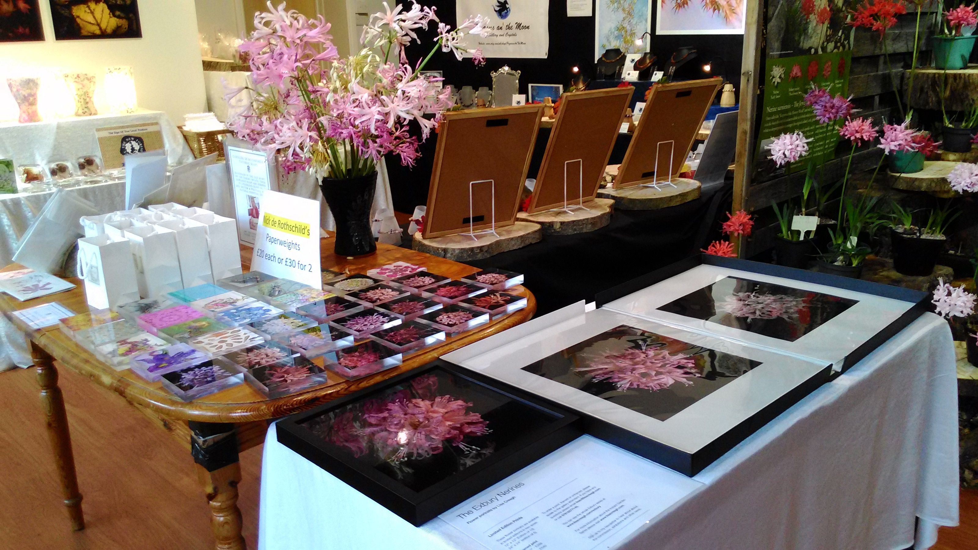 Pictures of Nerines and other related items available to purchase in the Gallery.