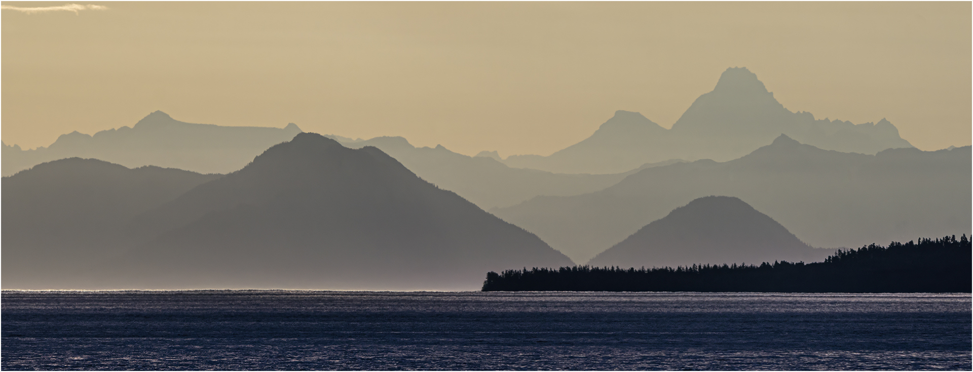 Commended: Forest Fire Landscape (Paul McKenzie)