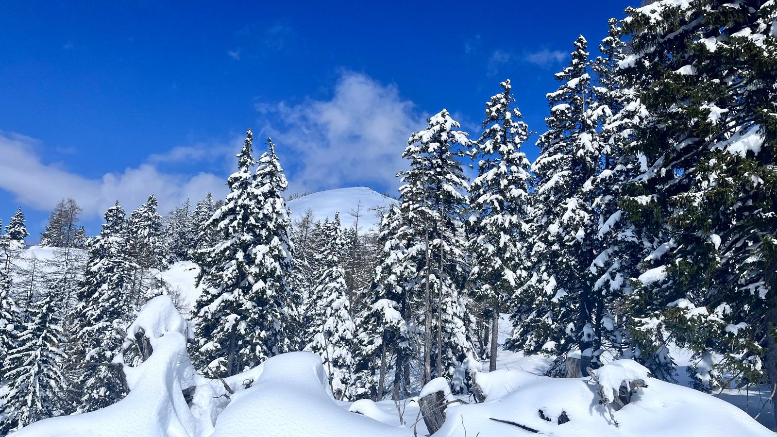 25. April 2024 - Pitschenberg