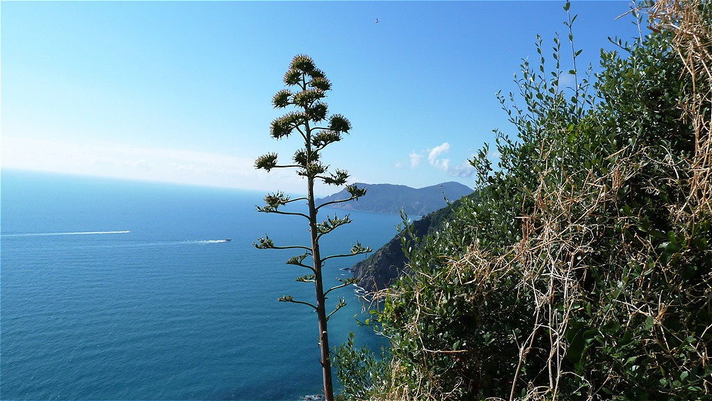 Beeindruckender Fernblick !