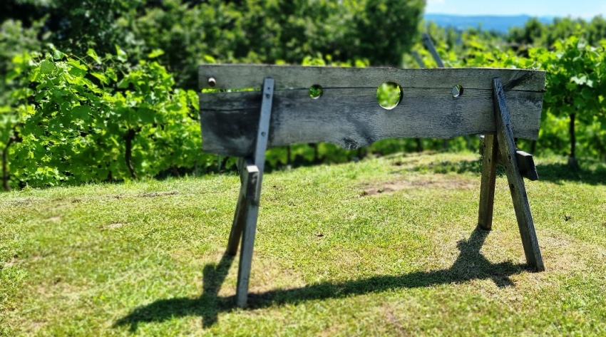 Schandgeige vor dem Weingarten auf der Burgstall